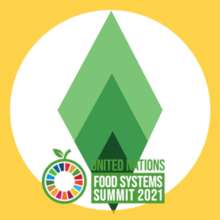 Food System Summit 2021