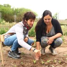 Accompanying small producers