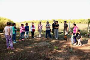 Community garden