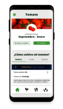 Kokue mobile app