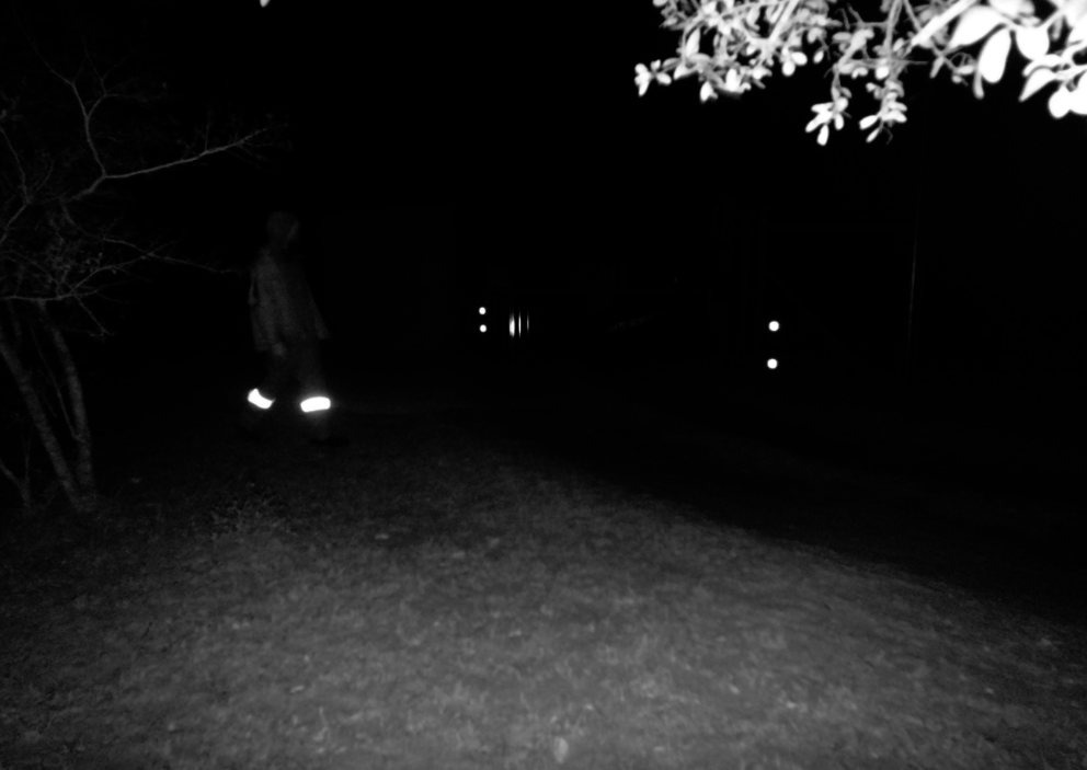 Night cam photo of one of our night watchman