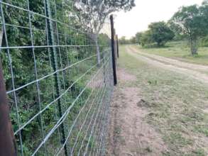 The new fence - Hoorah