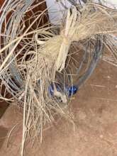 Snares recovered when poachers were disturbed/fled