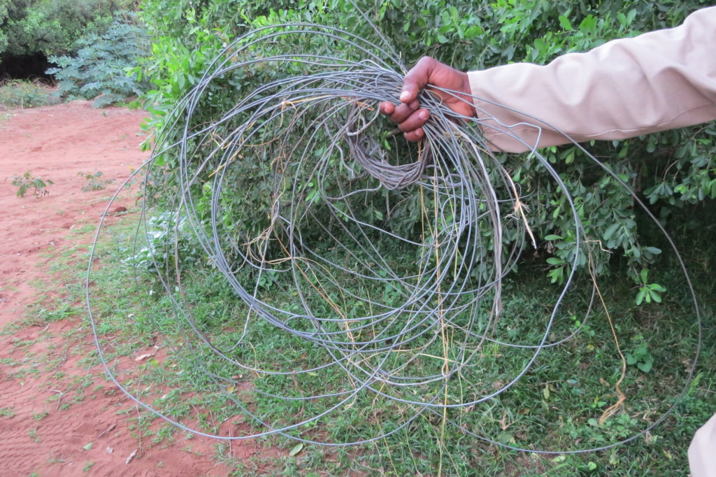 Urgent - Prevent cruel poaching  of rare wildlife