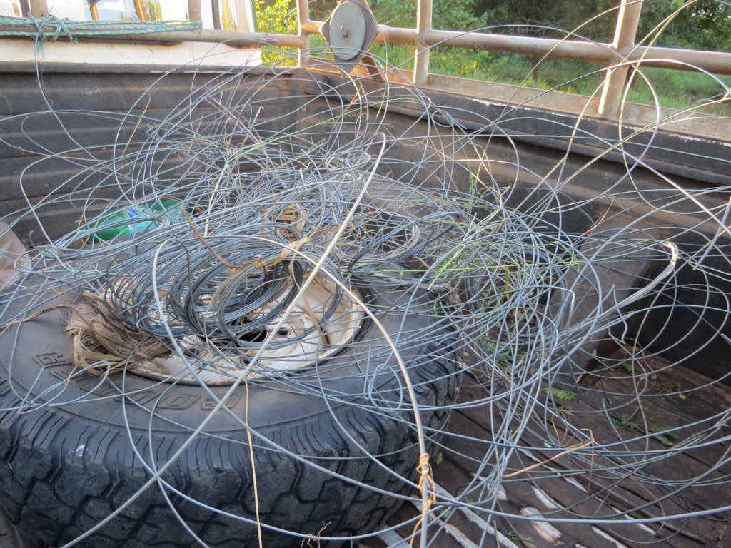 Urgent - Prevent poaching crisis due to COVID-19