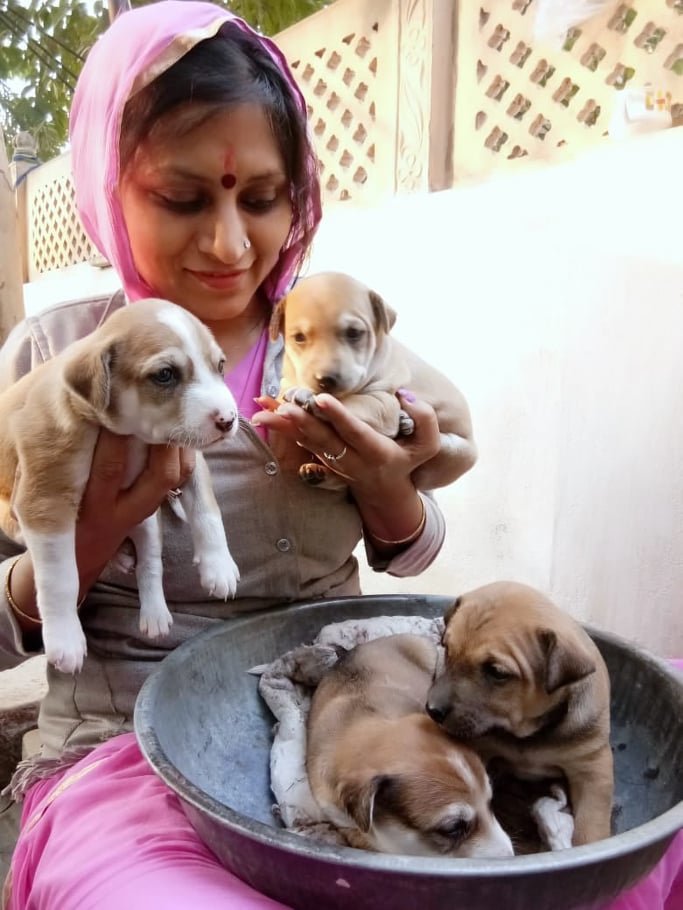 Santosh has been one of our Street Animal Heroes!