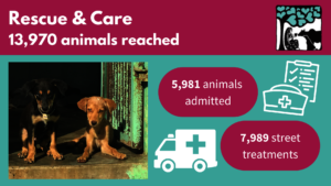 Rescue & Care project stats for 2022