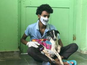 'After' photo of a dog who had a facial wound