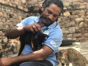 In May we helped 2,424 animals in need