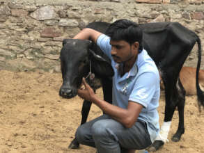 Karthik being cared for during treatment at TOLFA