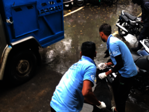 Our animal rescues continue despite the monsoon