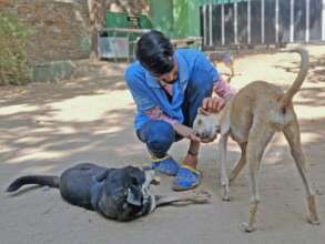You have helped us continue our work with animals