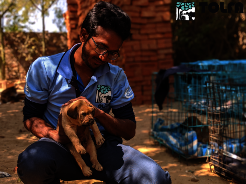 Help our Animal Hospital Survive Covid-19 Crisis