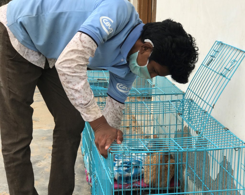 Help our Animal Hospital Survive Covid-19 Crisis