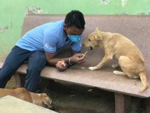 TOLFA Staff with dog