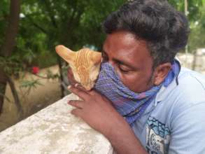 Nurturer Bunty cuddles a rescued cat