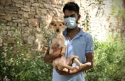 Help our Animal Hospital Survive Covid-19 Crisis