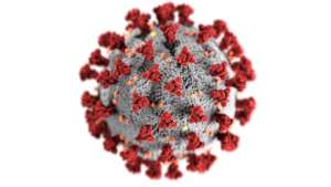 Visualized image of Coronavirus