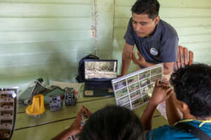 Exploring wildlife in community farmlands