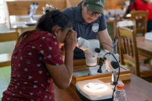 Using microscope to learn