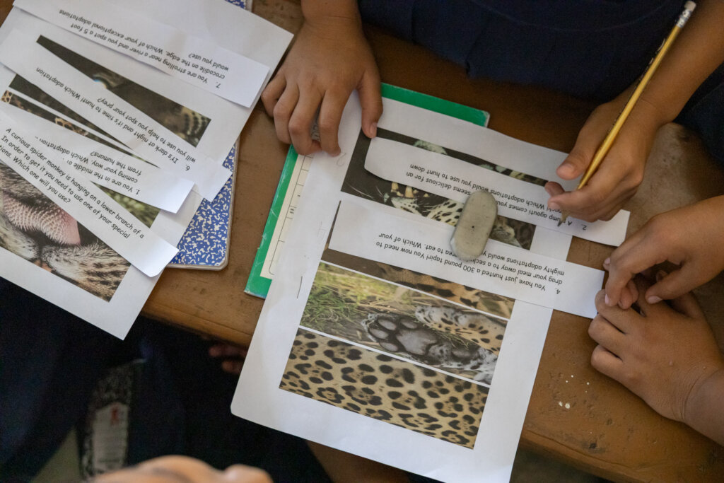 School children learning about jaguars