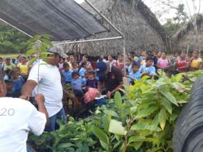 Community distribution of seedlings