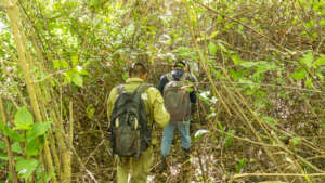 Agroforestry Zone within the ICCA