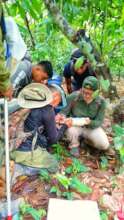 Farm assessment