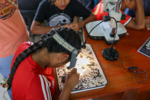 Exploring aquatic macroinvertebrates of rivers