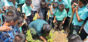 Demonstrating How to Plant