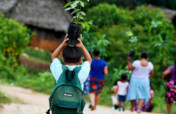 Help Restore the Maya Golden Landscape