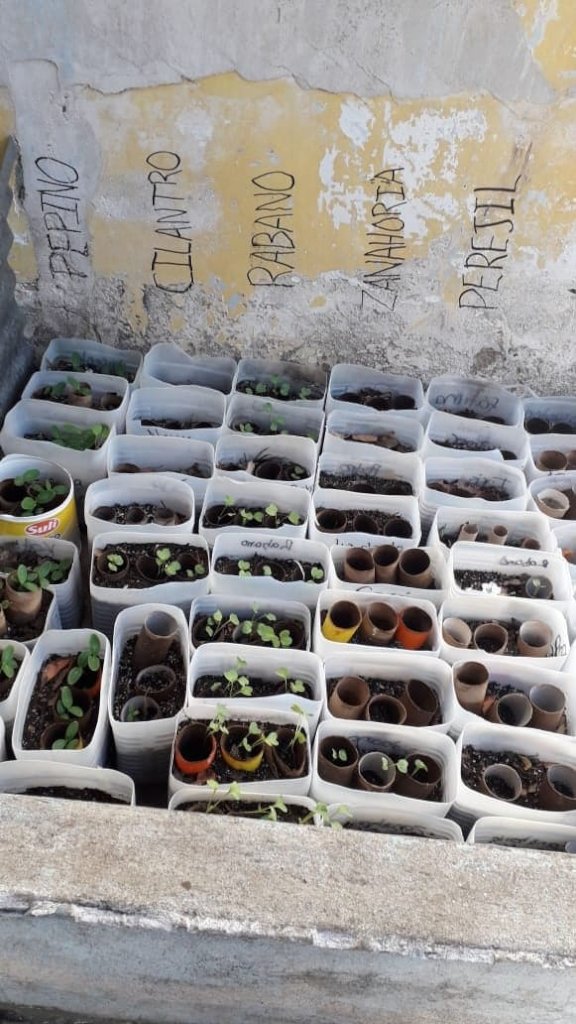 Sustainable Response to Climate Change - Guatemala