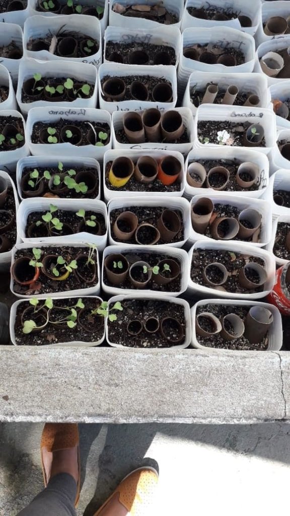 Sustainable Response to Climate Change - Guatemala