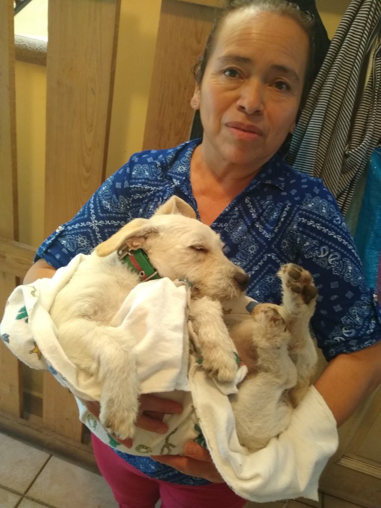 Sustainable Response to Climate Change - Guatemala