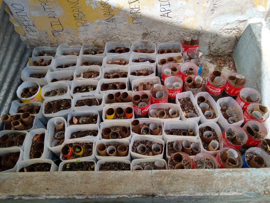 Sustainable Response to Climate Change - Guatemala