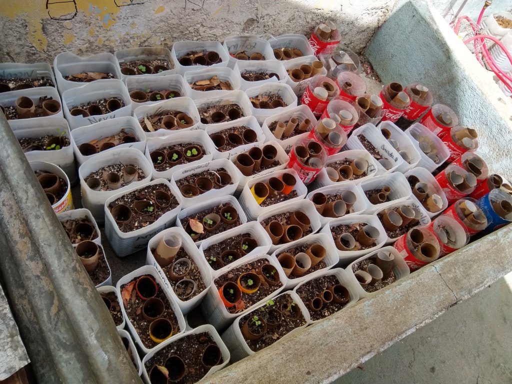 Sustainable Response to Climate Change - Guatemala