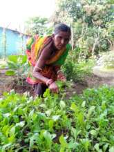 Happy to get greeny vegetables from my garden