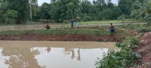 Development of Irrigation infrastuctures