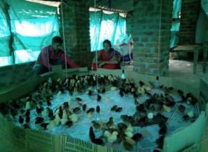 Livelihood Restoration for families in need