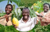 Support sustainable food produce in Esan community
