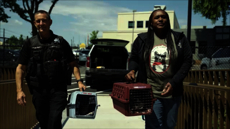 Humane Law Enforcement escorting cats to the ACRC