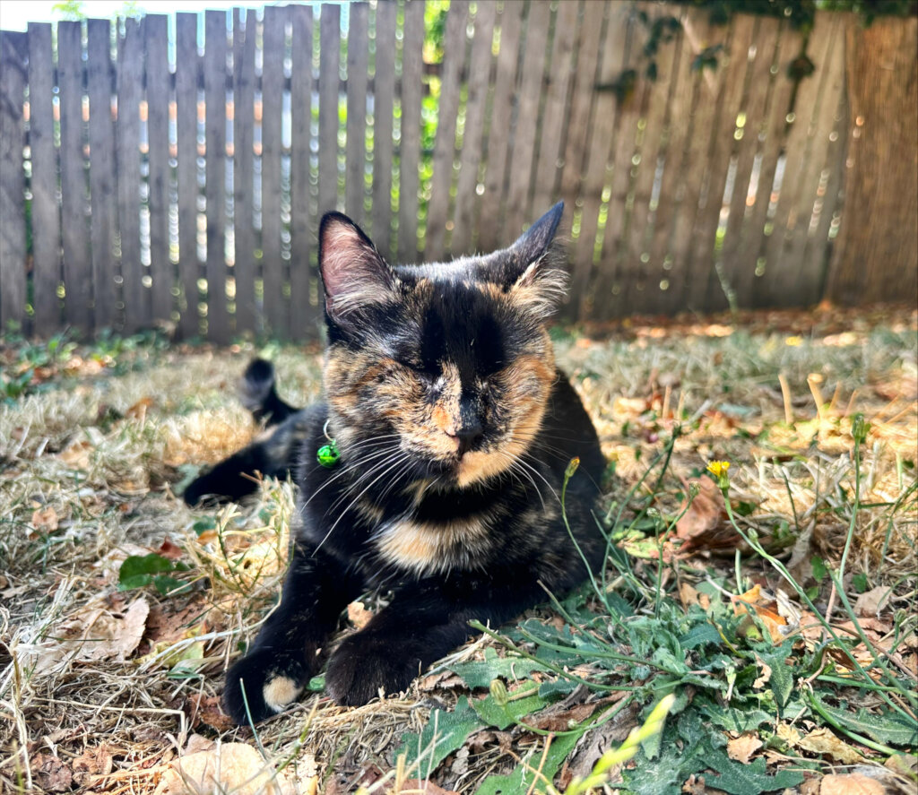 Jinx