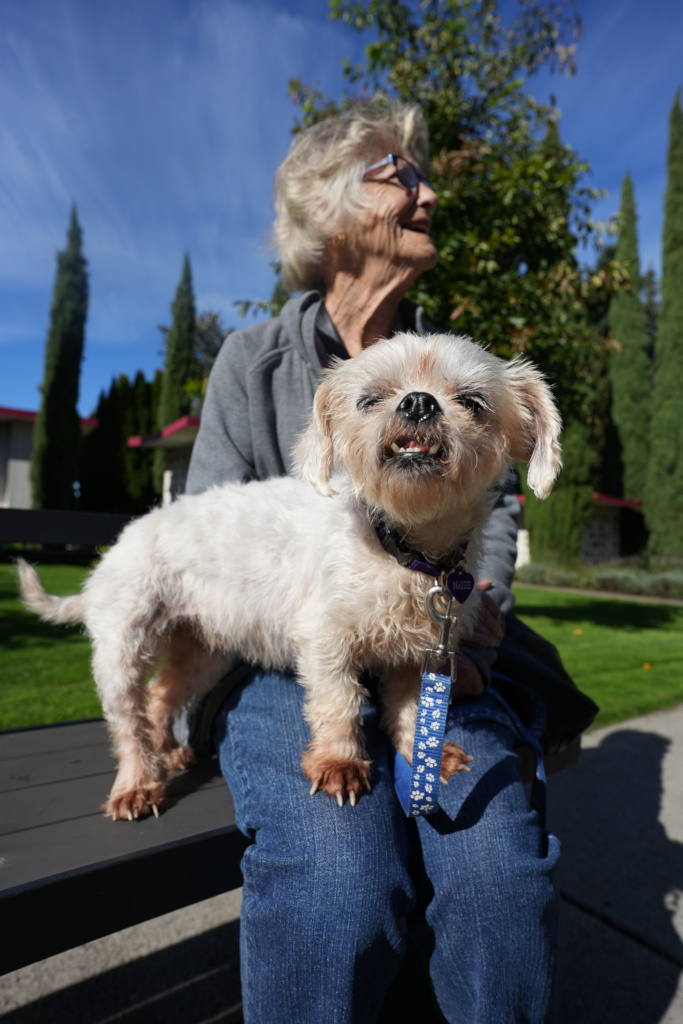 Helping Pets and People in our Community