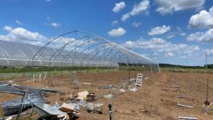 1st greenhouse construction