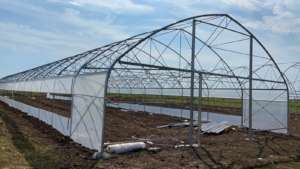 2 greenhouses structure