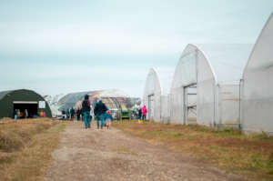 Visiting the new greenhouses