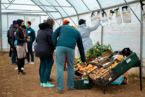 Farmer's market sheltered by a greenhouse