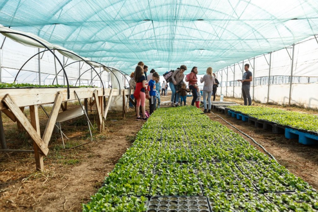 Greenhouses Destroyed During COVID-19 Crisis