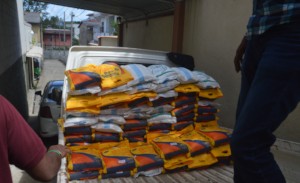 Relief goods ready for distribution