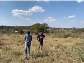 Clearing the land for the new solar array
